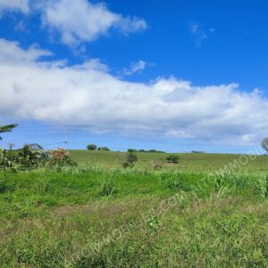 TAHITI. Nous vous proposons en exclusivité une belle parcelle  de 1900m² située sur les hauteurs de TARAVAO